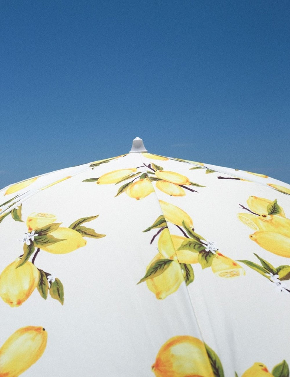 PRE ORDER Vintage Lemons Luxury Umbrella