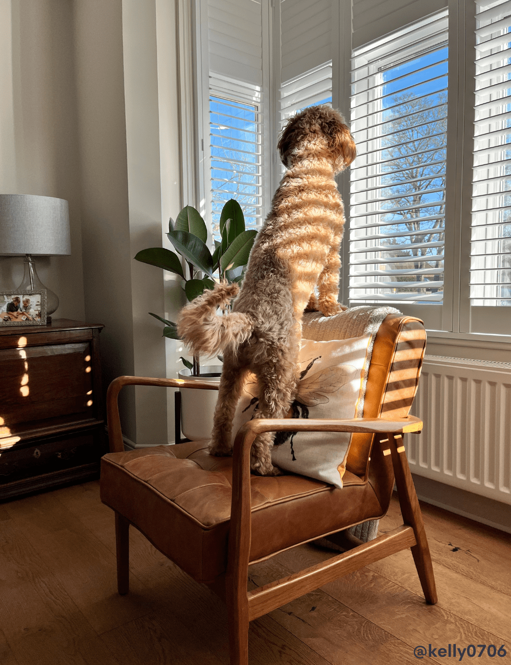 Mid-Century Button-and-Stud Brown Leather Armchair