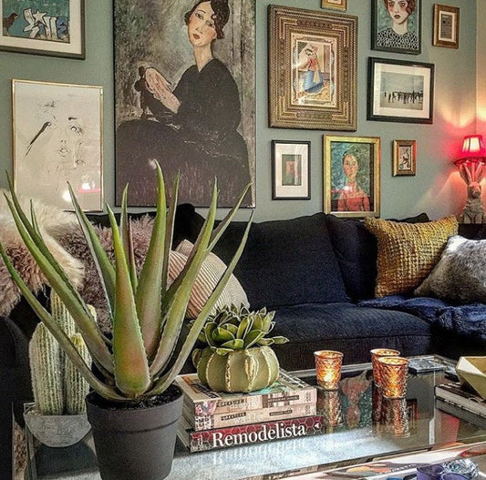 How to Style the Abigail Ahern Collection in your Home