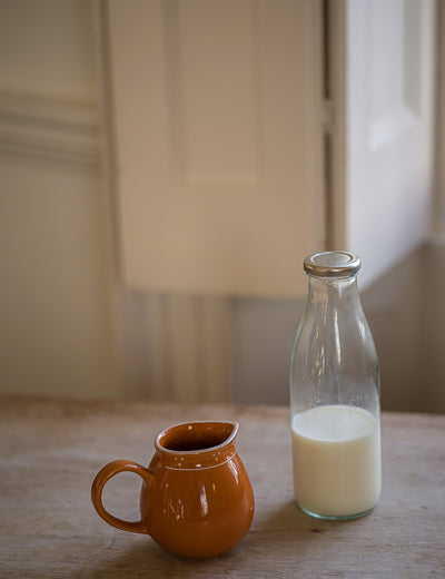 Breakfast Table Milk Jug in Terracotta