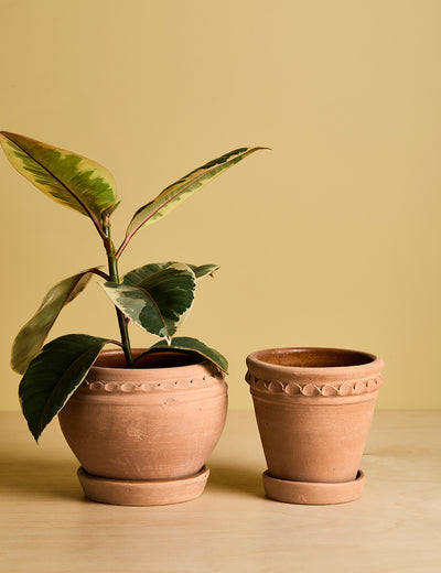 Siena Plant pots - set of 2