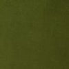 Lario Velvet Fern Green