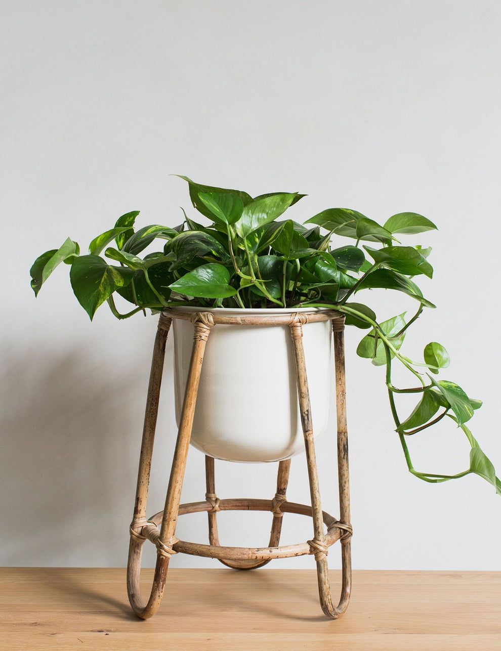 Plant Stand with Bamboo Legs