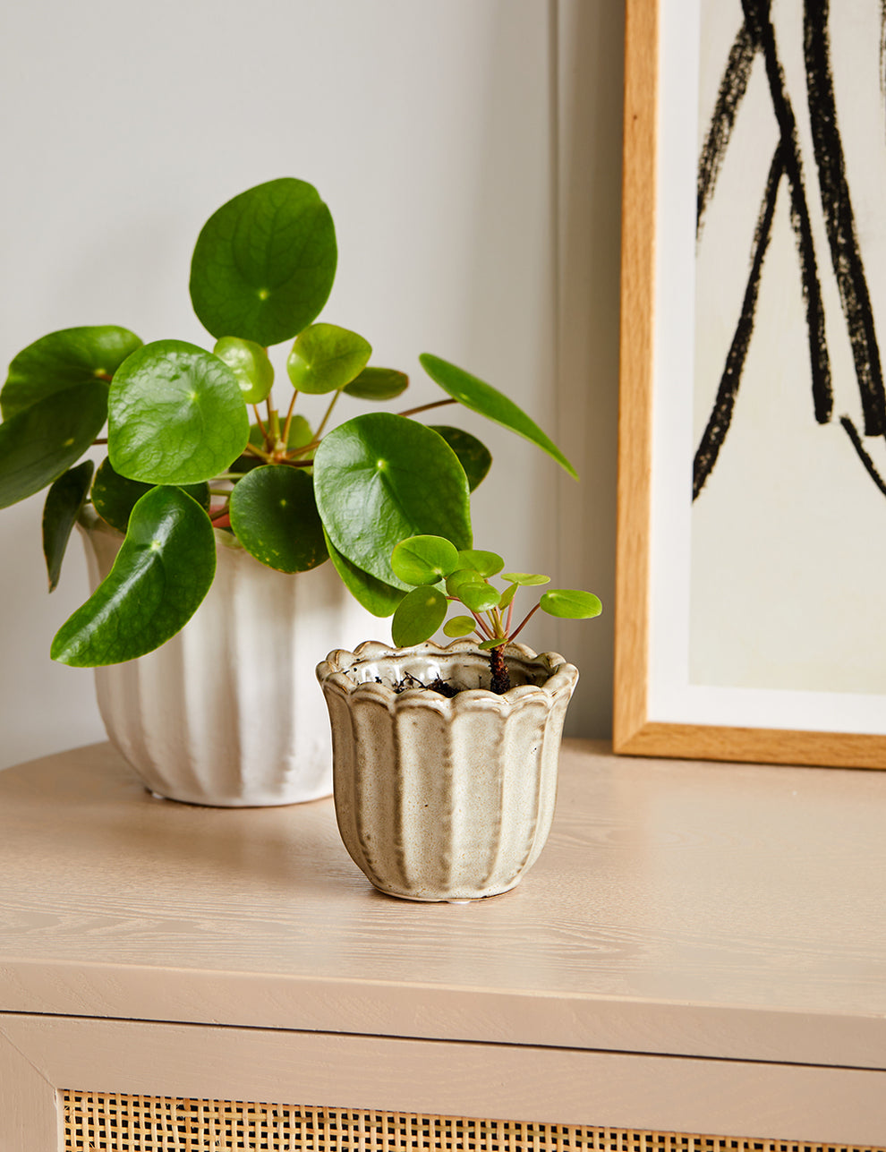 Small Stoneware Tulip Plant Pot styled