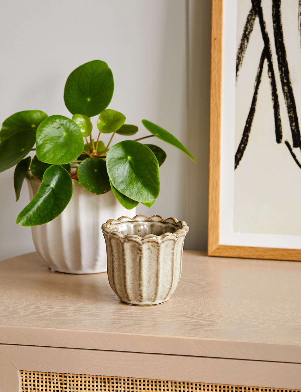 Small Stoneware Tulip Plant Pot